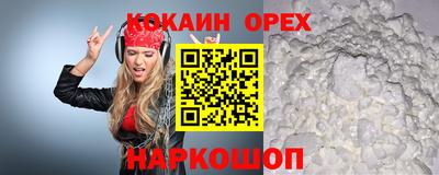 крисы Будённовск